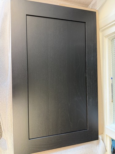 Aldana kitchen cabinet door